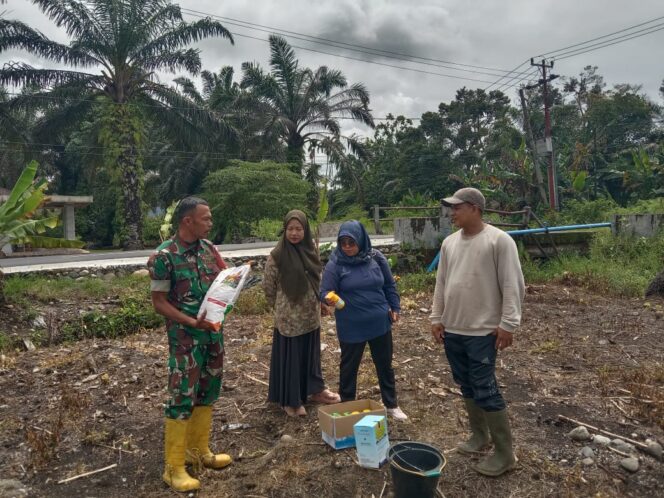 
					Babinsa Koramil 09/Batang Anai Dan PPL Dampingi Petani Tanam Jagung